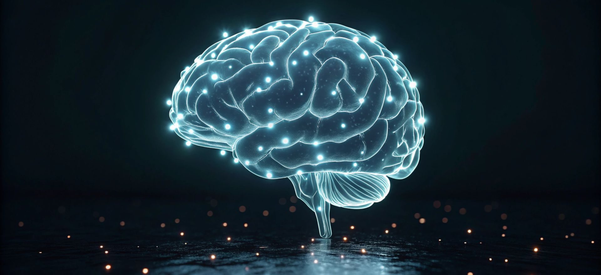 neuroscience empathy